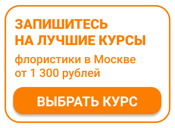 все что нужно знать флористу. Смотреть фото все что нужно знать флористу. Смотреть картинку все что нужно знать флористу. Картинка про все что нужно знать флористу. Фото все что нужно знать флористу